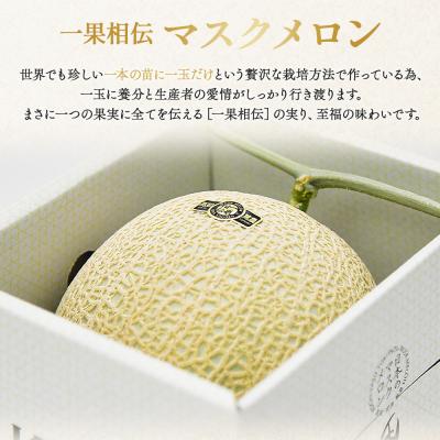 ふるさと納税 香南市 メロン 訳あり 1玉入り 青肉 マスクメロン 家庭用 tn-0024 |  | 01