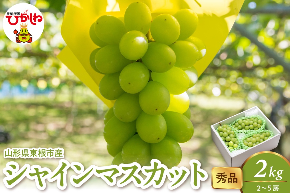 2026年産 シャインマスカット 2kg（2-5房） 秀品 山形県 東根市　hi082-059