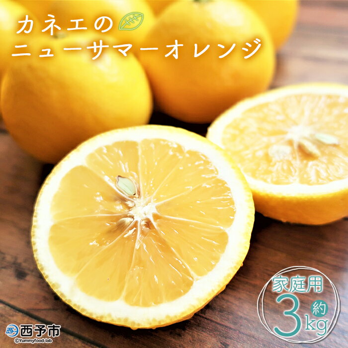 【ふるさと納税】先行予約＜カネエの西宇和産 越冬完熟ニューサマーオレンジ 家庭用 3kg前後＞ 家庭用 農家直送 果物 くだもの フルーツ ミカン 日向夏 小夏 食べて応援 特産品 いのうえ農園 愛媛県 西予市 【常温】『2026年5月上旬～5月中旬迄に順次出荷予定』