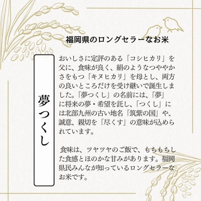 【無洗米】夢つくし 《真空パック》3kg(1kg×3本) 福岡県産