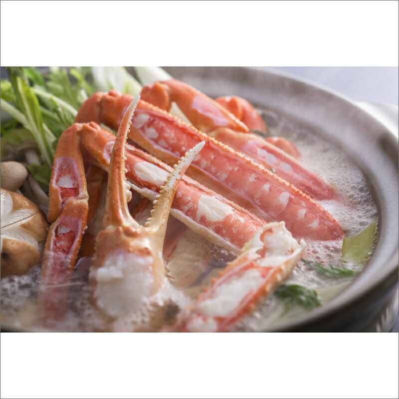 【ふるさと納税】松葉ガニのかにすき 2人前 4人前 セット 中～超特大サイズ (650g～1.2kg以上) 1杯 2杯 選べる サイズ 内容量 カニ鍋 蟹 蟹鍋 鍋 カニすき 蟹すき 松葉蟹 松葉ガニ かに雑炊 日本海 国産 のし お祝い ギフト お取り寄せ 加工品 簡単 お手軽 冷凍