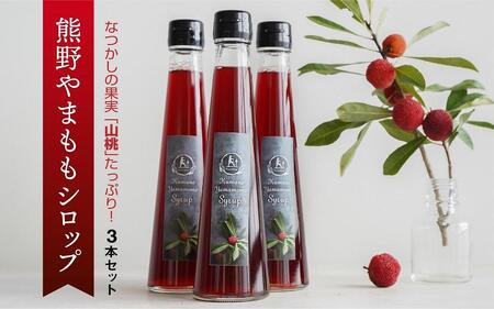 プレミア和歌山認定品幻の果実「山桃」をとじ込めた「熊野やまももしろっぷ」3本セット