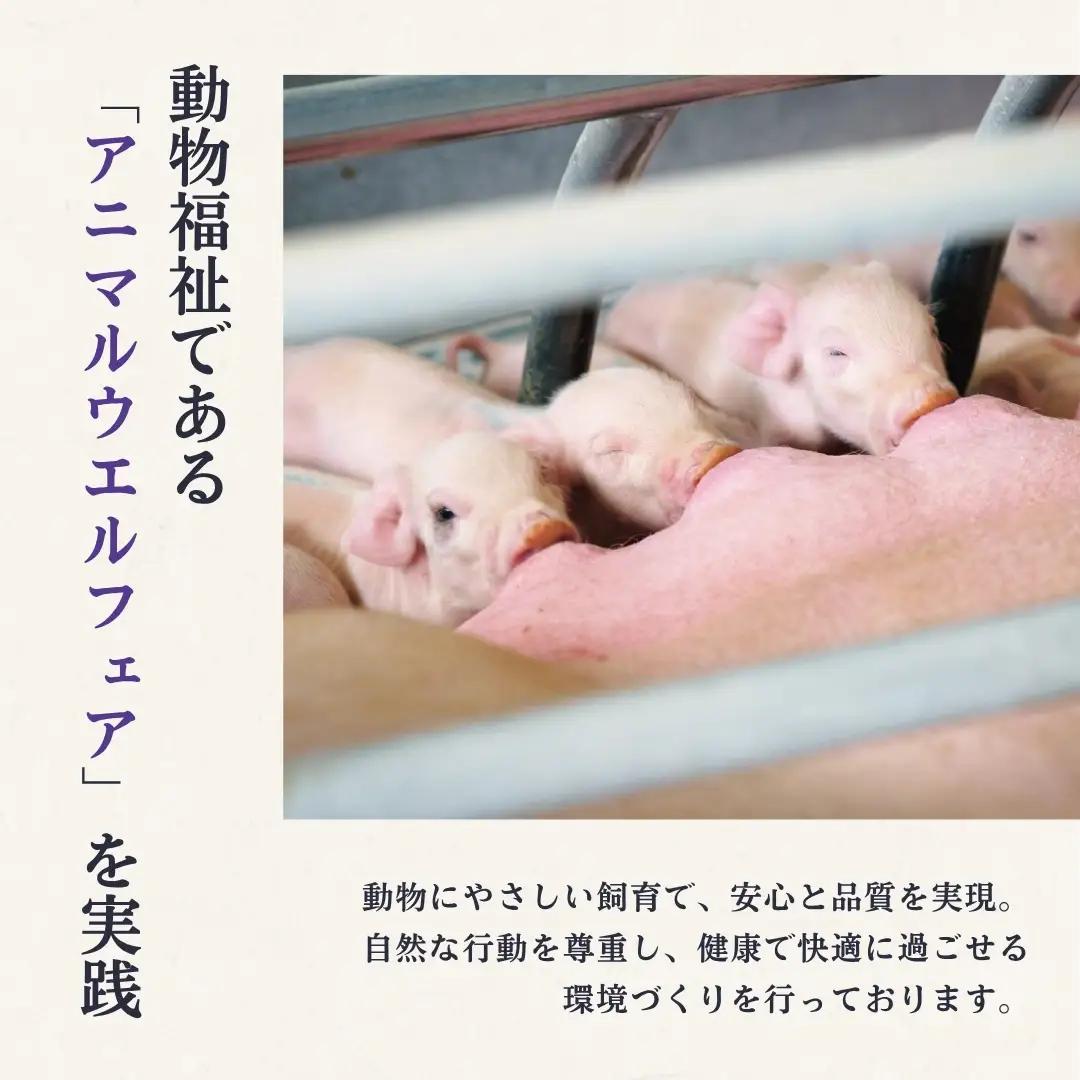 鬼の宝ポーク しゃぶしゃぶ 600g ( ロース/肩ロース/バラ 各200g )| 国産豚 豚しゃぶ 津南町