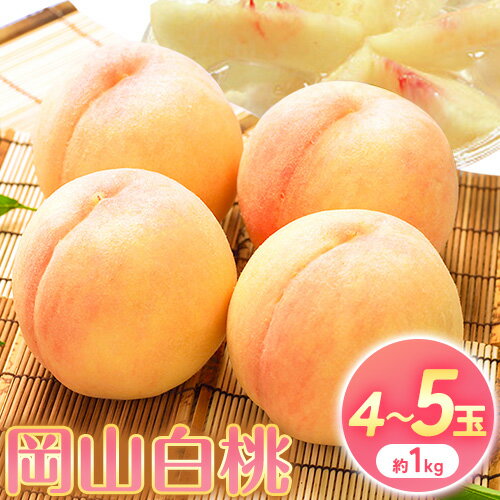 【ふるさと納税】【2026年先行予約】桃 もも 岡山白桃 4~5玉 約1kg 岡山県産 環山堂株式会社《2026年7月上旬-8月上旬頃より発送予定》岡山県 浅口市 白桃 果物 フルーツ 送料無料