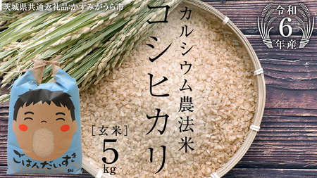 【 令和6年産 】カルシウム農法米 コシヒカリ 玄米 5kg ( 5kg × 1袋 ) (茨城県共通返礼品 かすみがうら市) 米 ごはん 粘り ツヤ カルシウム コメ お米 玄米 [EX007sa]