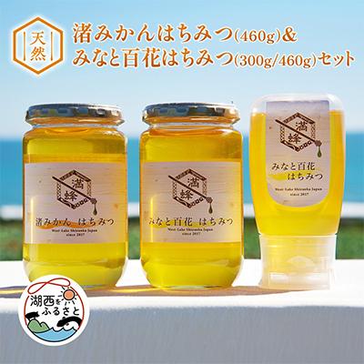 ふるさと納税 湖西市 浜名湖ほとり 渚みかんはちみつ・みなと百花はちみつ 各460g・みなと百花はちみつ 300g　3本