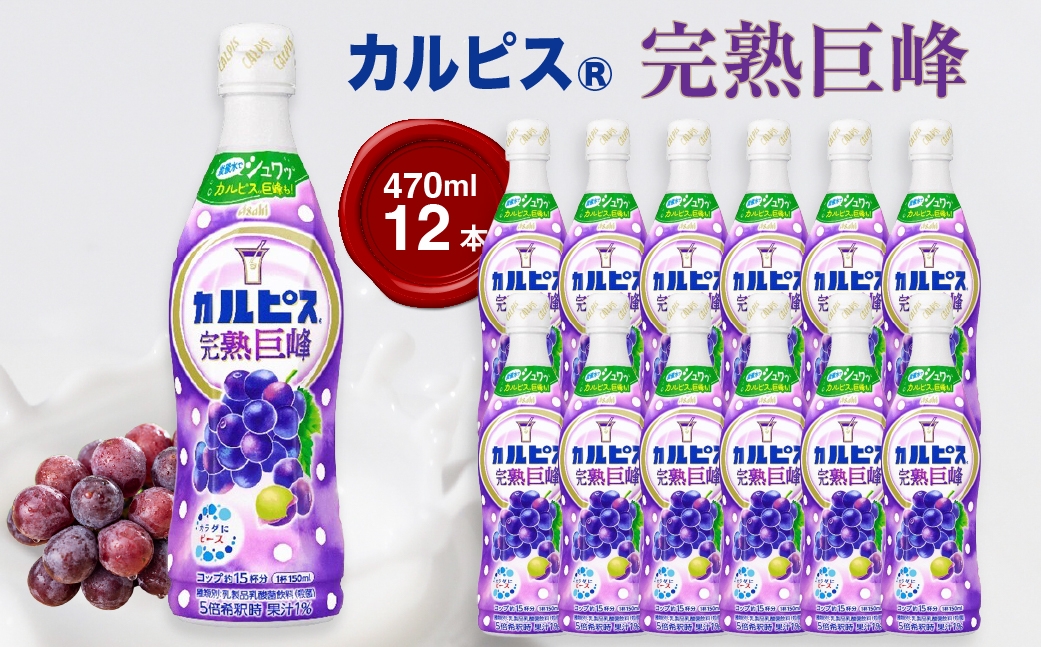
                  「カルピス(R) 完熟巨峰」プラスチックボトル 470ml×12本 ｜ ドリンク ペットボトル ケース買い 飲み物 飲料 清涼飲料 ソフトドリンク 飲料セット ドリンクセット 家庭用 飲み物のストック 買い置き まとめ買い ケースで届く 群馬県 館林市
                