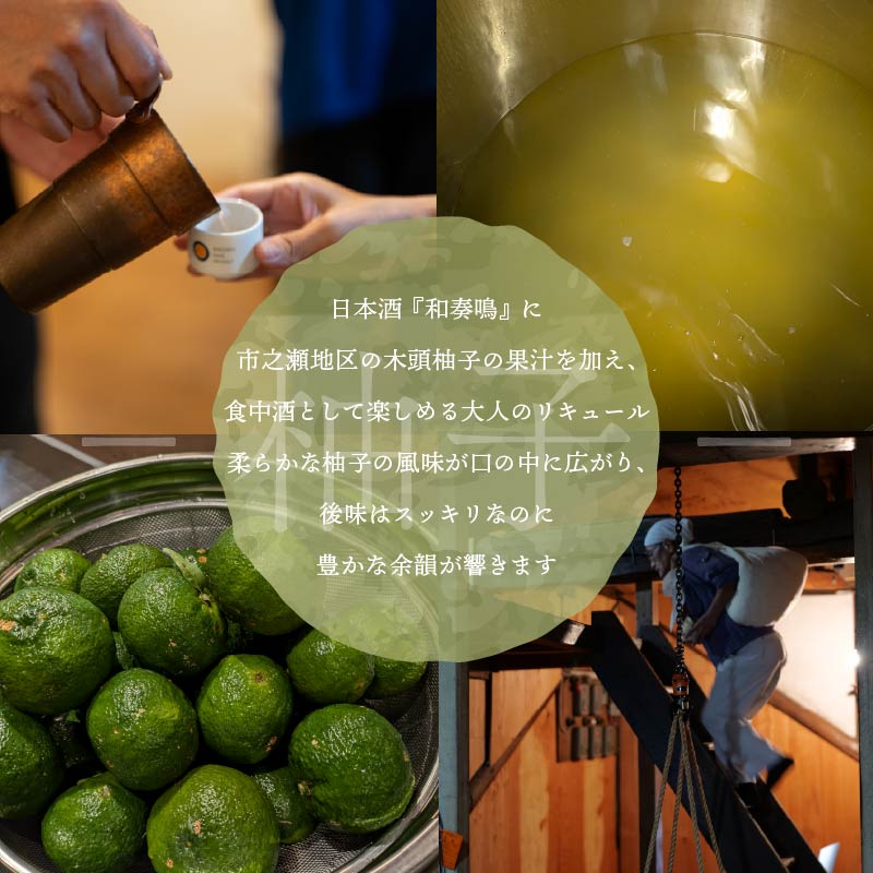 日本酒 飲み比べセット 和奏鳴 3本 （生?酒母・柚香・柚子） 日本酒 ギフト 辛口 地酒 お酒 みかん酒 ゆず酒 贈答 贈り物 静岡県 藤枝市