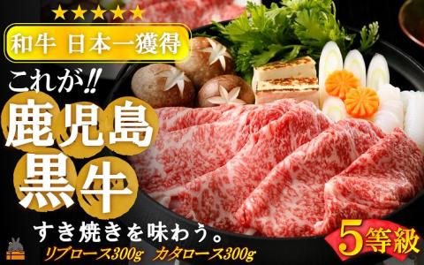 《和牛日本一獲得》5等級 これが!!鹿児島黒牛 2種の霜降りを食べ比べる「すき焼き」（リブロース300g＆カタロース300g) ( 5等級 黒牛 黒毛和牛 牛肉 日本一 全国和牛能力共進会 徳之島 )