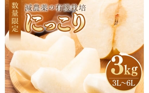 【数量限定・先行予約】 梨 にっこり 3kg 3L～6L 5～8玉 なし ナシ 果物 フルーツ 国産 【10月1日～11月末発送予定】 70-N