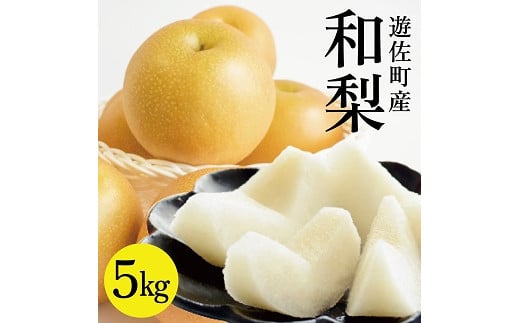 
            1234　遊佐町産和梨5kg
          