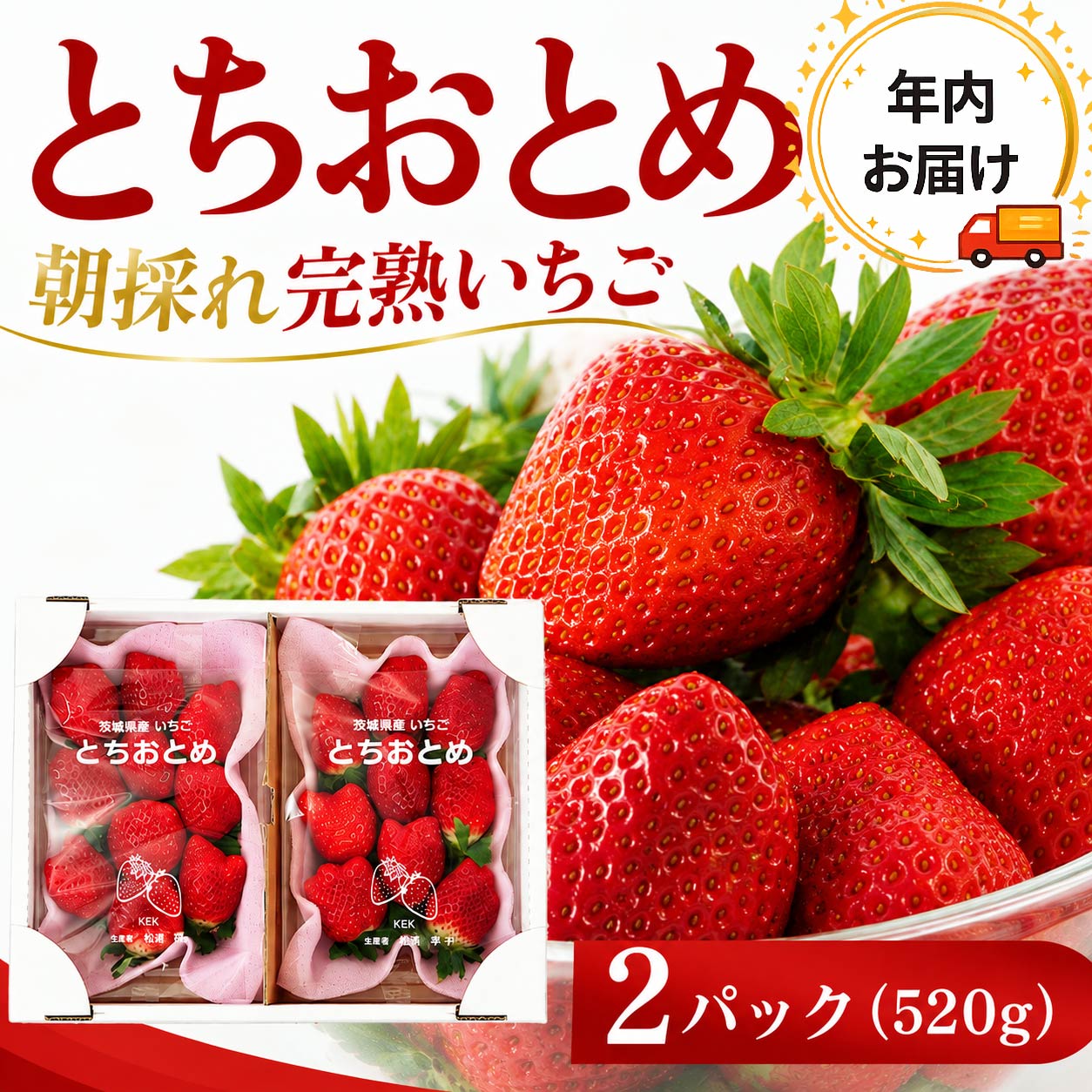 【ふるさと納税】 いちご とちおとめ 約 260g × 2パック 先行予約 【2026年11月より発送開始】 苺 イチゴ いちご 果物 食べ比べ トチオトメ フルーツ くだもの デザート 野菜 完熟 朝採れ 新鮮 国産 茨城県 筑西市 関東 ふるさと納税いちご