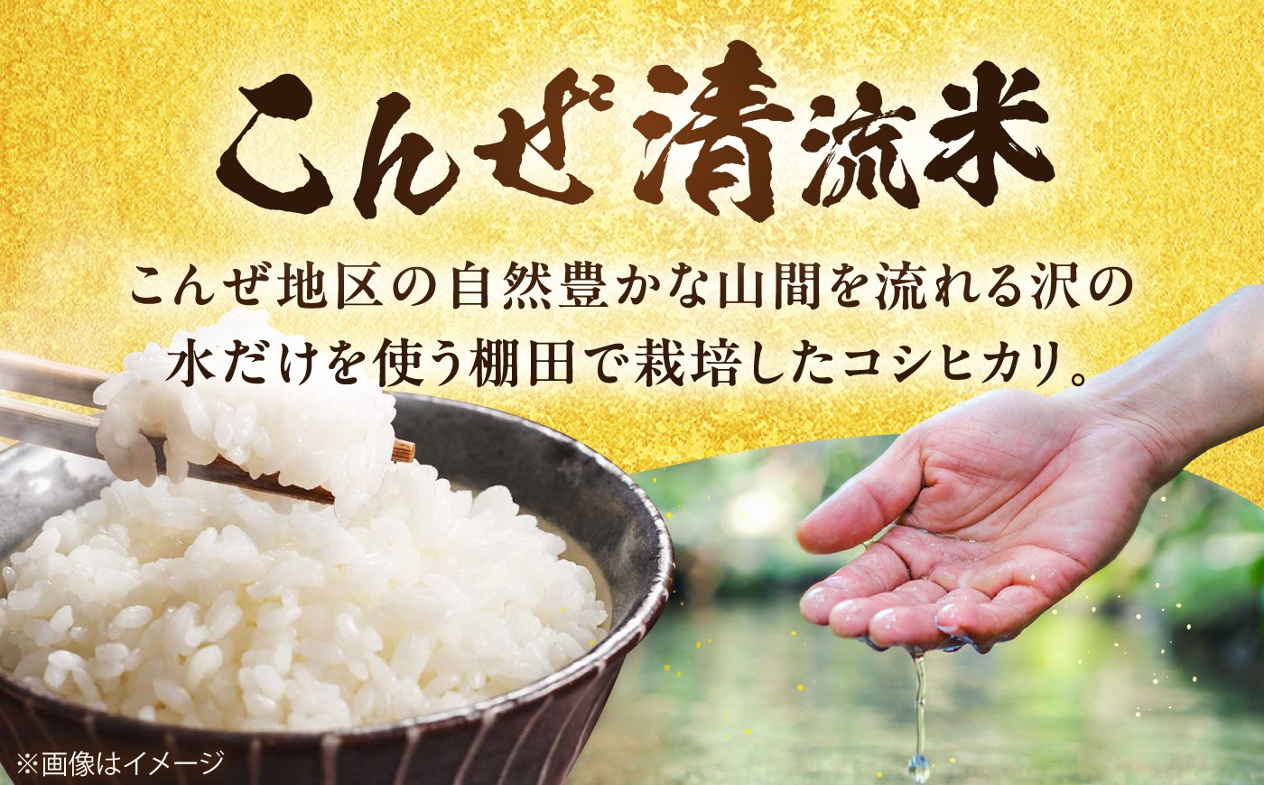 こんぜ清流米 コシヒカリ お米 白米 ご飯 コメ 特別栽培米 近江米産