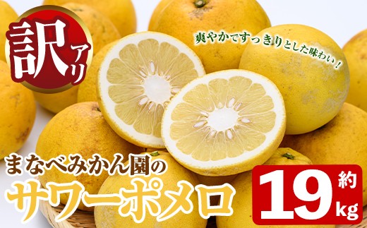 
                  ＜先行予約受付中！2027年2月下旬以降順次発送予定＞訳あり！まなべみかん園のサワーポメロ(約19kg) 国産 鹿児島県産 阿久根市産 柑橘類 果物 フルーツ 数量限定 デザート 訳アリ 【有限会社まなべみかん園】akn034-23
                