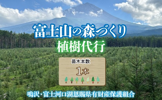 富士山の森づくり植樹代行(1本) NSAP001-a