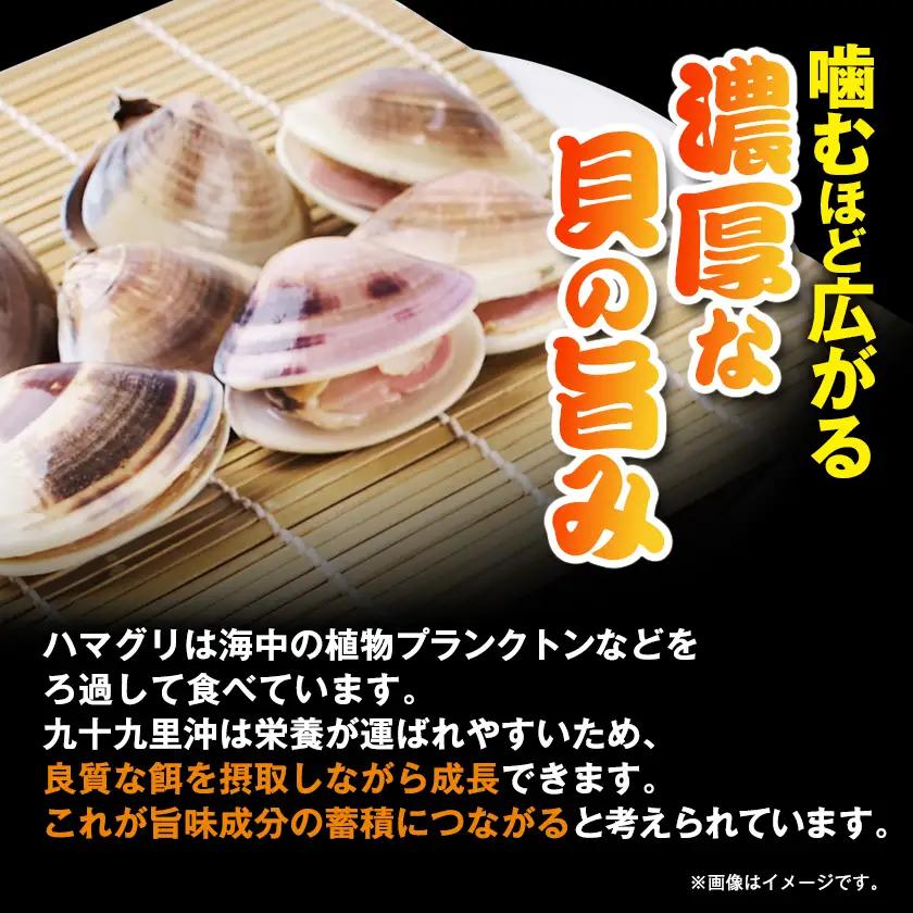冷凍ボイルハマグリ1kg(12-20粒入り)【配送不可地域：離島】【1743657】