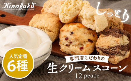 スコーンのイメージ が変わる！ 定番 スコーン 12個セット 糸島市 / キナフク 焼き菓子 焼菓子 洋菓子 スイーツ パン [AFA001] スコーン スコーン スコーン スコーン スコーン スコーン スコーン 