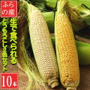 【ふるさと納税】【先行予約2025年発送】北海道富良野産生で食べられる 白いトウモロコシと黄色いトウモロコシ10本【配送不可地域：離島】【1538399】