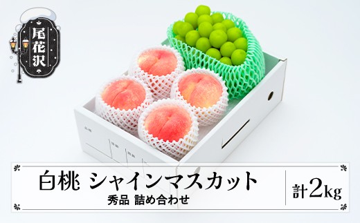 
                  【先行予約】令和8年産 白桃 シャインマスカット 秀品 詰め合わせ 計2kg 2026年産 山形県産 ※沖縄・離島への配送不可 ns-fshsx2
                