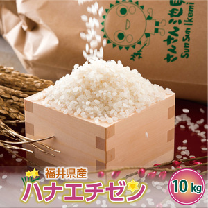【先行予約】【令和7年産・新米】さんさん池見二代目の 福井県産 ハナエチゼン 10kg （無洗米）【2025年8月下旬以降順次発送予定】 [C-0213_05]