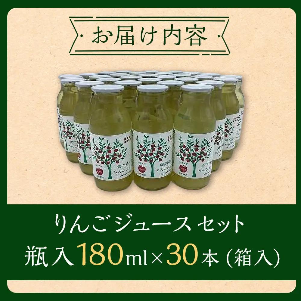 りんご ジュース セット 30本 × 180ml 大町産 大町産 箱入り りんごジュース 長野 信州