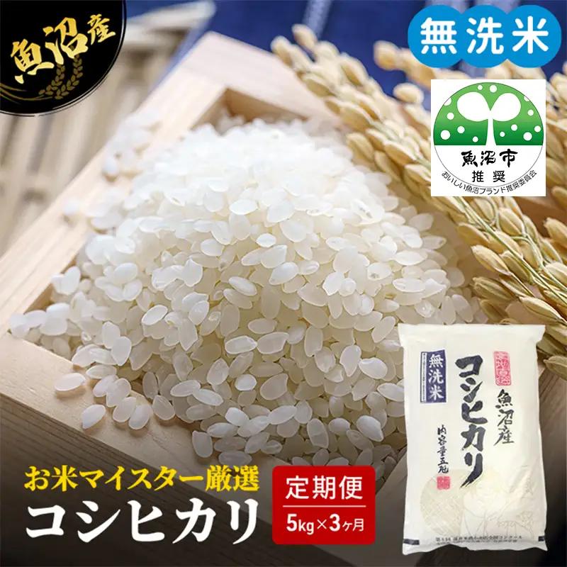 無洗米 定期便 3ヶ月 コシヒカリ 5kg 米 白米 お米 魚沼産コシヒカリ 新潟米 新潟 魚沼市 定期 3回