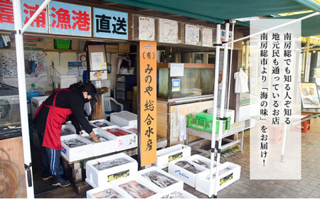 急速冷凍・内臓処理済み　お任せ鮮魚セット mi0051-0007
