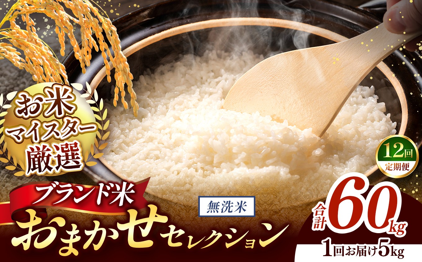 
                  【 令和7年産 】おまかせ セレクション 【定期便12回】熊本県産 無洗米  ＜ひのひかり / 森のくまさん / くまさんの輝き ＞ 5kg  | 単一銘柄 米 単一米 お米 こめ 小分け 人気 コメ お米 5kg 10kg 15kg 20kg 25kg 30kg 定期便 3回 6回 12回 ブランド米 菊池川流域 家庭用 送料無料 熊本 くまもと 熊本県 和水 和水町 人気 ごはん
                