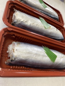ハマケン水産 さんま寿し１０本【hmkn0006】