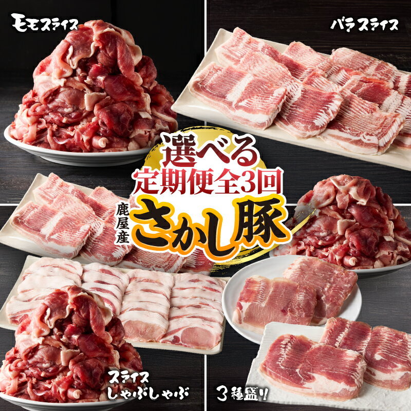【ふるさと納税】＜全3回 定期便＞鹿屋産 さかし豚 選べる 肉 豚肉 モモ バラ ロース スライス 切り落とし しゃぶしゃぶ 豚しゃぶ 小分け 真空パック 国産 鹿児島県産 冷凍 東別府養豚 鹿児島 鹿屋市 おすすめ ランキング プレゼント ギフト