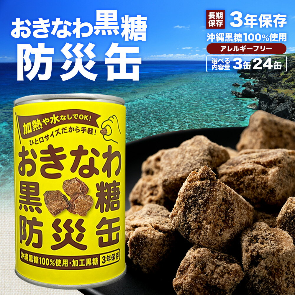 【ふるさと納税】個数を選べる【沖縄黒糖100%】おきなわ防災黒糖缶 130g 3缶 or 24缶（1ケース）3年保存 長期保存 非常食 備蓄食料 災害 防災 緊急時 完全無添加 ミネラル補給 | 沖縄 与那国 黒砂糖 純黒糖 OV-1