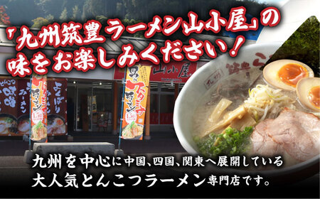 焼豚高菜生ラーメン とんこつ 6食セット　桂川町/ワイエスフード株式会社[ADBP003]  ラーメン 高菜 豚骨 とんこつ ラーメン 高菜 豚骨 とんこつ ラーメン 高菜 豚骨 とんこつ ラーメン 