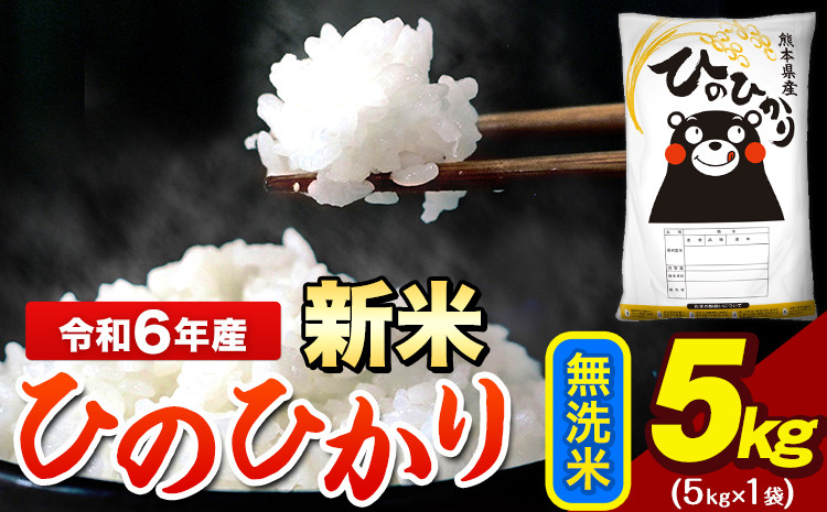 
            令和6年産 新米 早期先行予約受付中 ひのひかり 無洗米 5kg 《11月-12月より出荷予定》 5kg×1袋 熊本県産（荒尾市産含む） 米 精米 ひの
          