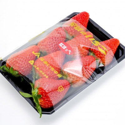 【碧海そだち】安城いちご『紅ほっぺ』&『ゆめのか』食べ比べセット　計4パック【配送不可地域：離島・北海道・沖縄県】【1692914】