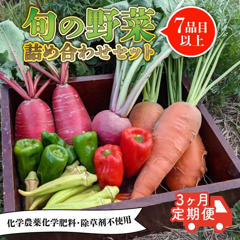 【先行受付】【定期便】旬のお野菜セット 詰め合わせ 3ヶ月定期便（7～10品目） 定期便 3か月 3回 旬 野菜 国産 こだわり野菜セット 京都府産野菜セット 京丹波町産野菜セット 季節 セット 野菜セット