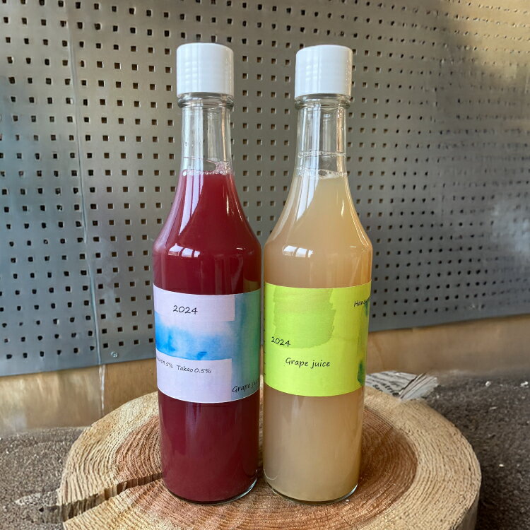 【ふるさと納税】ぶどう ジュース 2種 （赤・白） 各600ml [大野農園 Rapporti 山形県 高畠町 tk06ayt050006] セット 2本 フルーツジュース 葡萄 ブドウ グレープ グレープジュース 飲み比べ 無添加