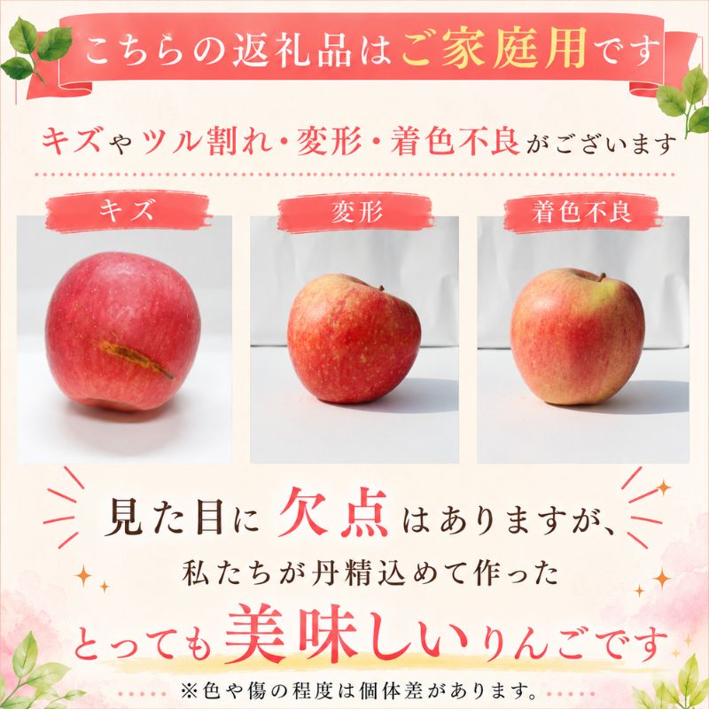 【期間限定】 りんご はるか 3kg 12月上旬~発送 訳あり 先行予約 りんご リンゴ ringo はるか 林檎  訳アリ わけあり 家庭用 産地直送 新鮮 アップル くだもの 果物 フルーツ ハル