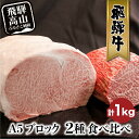 【ふるさと納税】A5 飛騨牛 ブロック 2種食べ比べ 1kg（サーロイン500g もも500g） | サーロイン もも A5等級 ステーキ ローストビーフ 和牛 牛肉 ブランド牛 飛騨高山 株式会社丸明 LR001