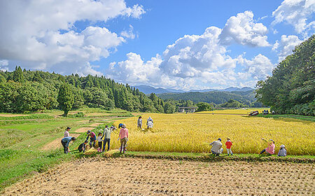 棚田米きんのあき1kg 新潟県胎内市鍬江集落産 コシヒカリ 特別栽培米