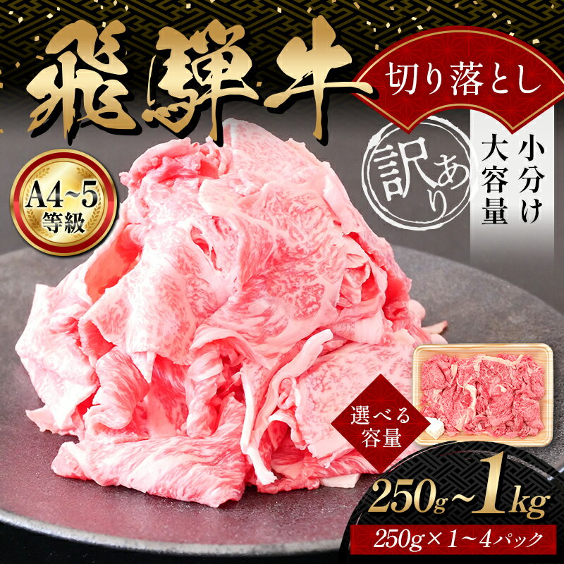 【ふるさと納税】＼選べる容量／A4等級以上 飛騨牛 焼肉 切り落とし 250g 500g 750g 1kg 牛肉 ブランド牛 肉 切落し 訳あり 商品 ワケアリ 不揃い 大容量 切り落とし きりおとし 小分け 冷凍 ネオプライムヒグチ 食品 訳有 焼肉セット 焼肉用 選べる 肉のひぐち F6M-328var