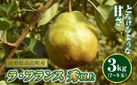 《先行予約》山形県高畠町産 ラ・フランス7～9玉（3kg）F20B-254