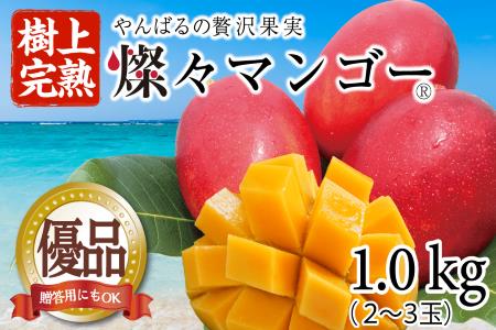 【2025年発送・優品】燦々マンゴー1.0kg(2～3玉)【配送不可地域：離島】【1619776】