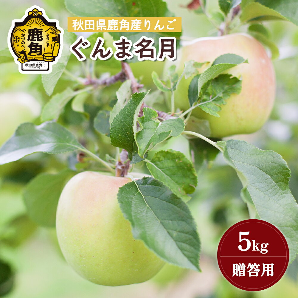【ふるさと納税】《 先行予約 》 りんご 贈答用 ぐんま名月 5kg ( 20～23玉 ) 秋田県 鹿角産 りんご 食感 果汁 リンゴ 完熟 旬 県産 りんご 林檎 お中元 お歳暮 贈り物 グルメ ギフト 故郷 秋田 あきた 鹿角市 鹿角 蜜 送料無料 【山麓園】