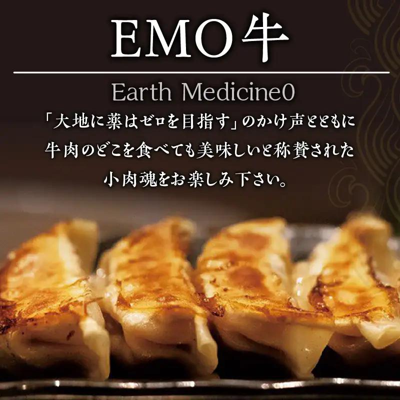 牧場育ち 牛肉100％旨み餃子（餃子12個パック×5） 餃子 ぎょうざ 惣菜 牛肉