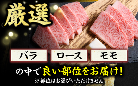 【6回定期便】焼肉用 500g  / 焼き肉 和牛[AFBO071]