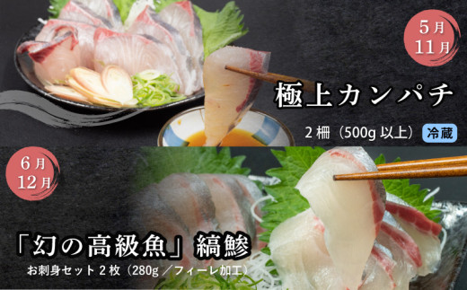 刺身 定期便 6ヶ月 小島水産 がお届けする！ 美味しい お刺身 大容量 コース ( 鮮魚 下処理済 )  産地直送 半年 新鮮 鮮魚 ( 6回 お楽しみ 定期便 お刺身 かつお タタキ カツオ 鰹 