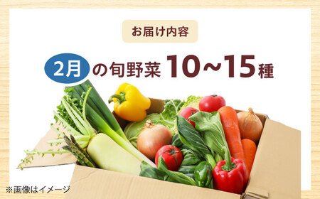 高槻野菜おまかせ詰め合わせセット 2月（10種~15種）[AOCS008] 野菜セット