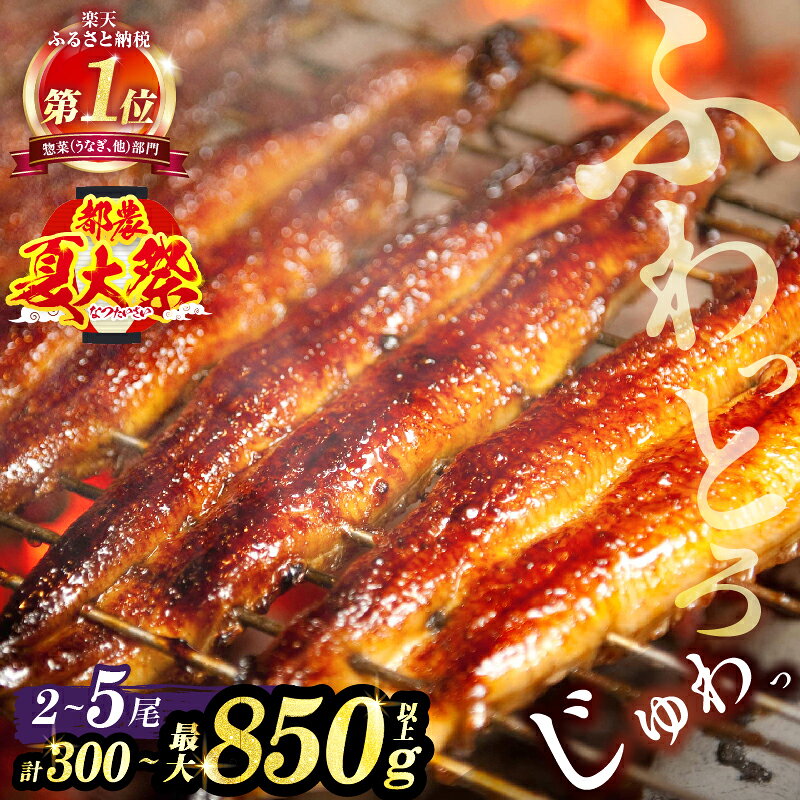 【ふるさと納税】総合1位獲得！【楽天限定】≪都農夏大祭！！≫≪選べる！！内容量・発送時期・定期便≫ お中元のし対応 うなぎ 蒲焼 2尾 3尾 5尾 unagi 丑の日 定期便 美味しい 国産 宮崎県 鰻 うな重 うなぎ長焼 ひつまぶし 小分け 真空パック 鰻楽 ギフト 贈り物 都農町