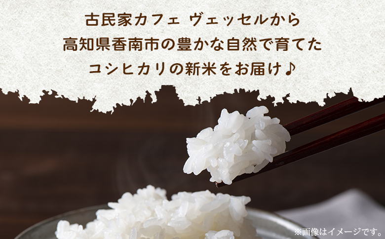 愛情注いで育てたコシヒカリの新米3kg - こしひかり お米 白米 精米 ご飯 ごはん 株式会社都築企画 高知県 香南市 td-0003