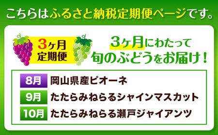 【2025年産先行予約】3ヶ月 定期便 食べ比べセット たたらみねらる シャインマスカット 瀬戸ジャイアンツ ピオーネ 各1房《8月下旬-10月下旬頃出荷》岡山県 笠岡市 マスカット ぶどう ブドウ 